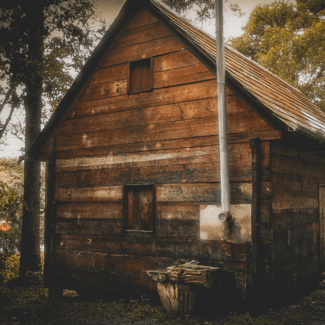 maison dans les bois